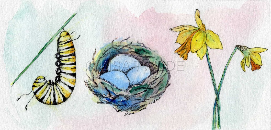 joyinspringwatermarked